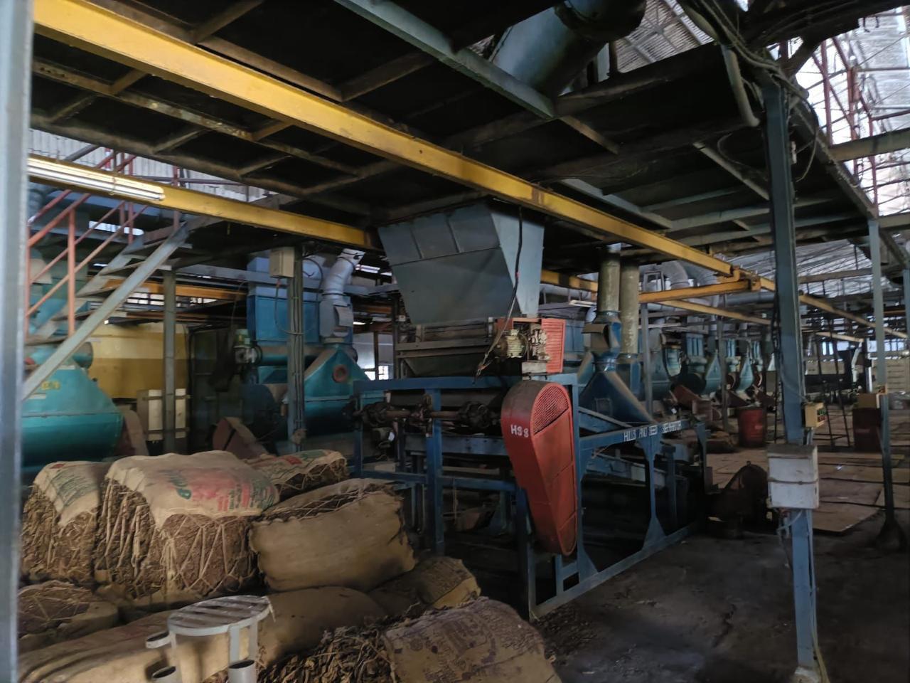 Bunkers (Additional Set) - Additional seed storage bunkers for expanded capacity. - View 1