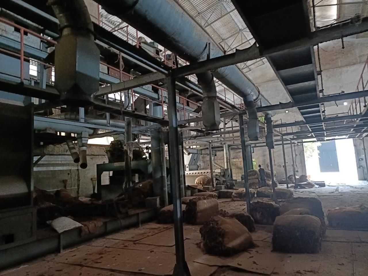 Conveyors - Material transport conveyors for efficient seed movement throughout CSPP facility. - View 1