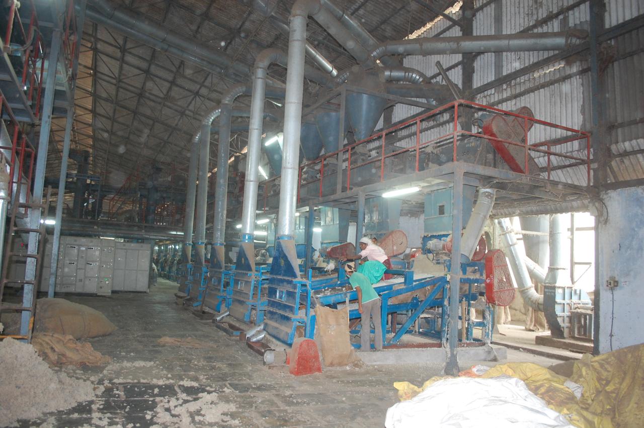 Seed Cleaners (Steel Godown) - Raw cotton seed cleaning machines for removing impurities and grading. - View 1