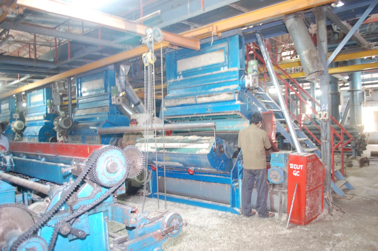 Delinters with Feeder & Coss Conveyor - Complete delinting setup with automatic feeding system. - View 1